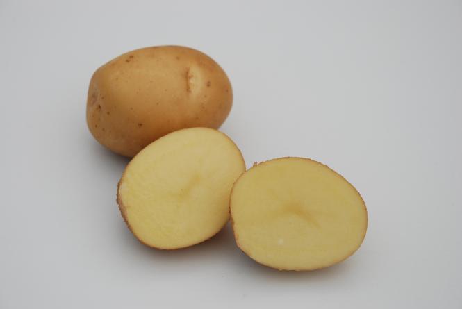 Marfona Marfona
